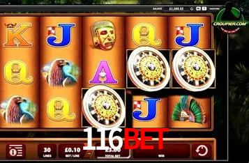 Descubra o Mundo do Cassino Online com 116Bet