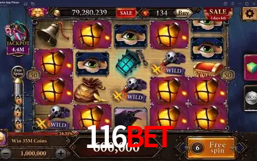 Security Systems 116Bet