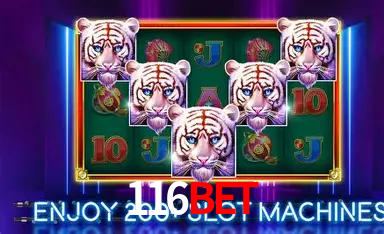 Platform Technology 116Bet